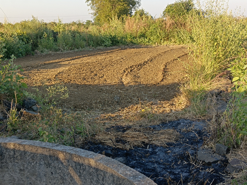  1 Acre Agricultural/Farm Land for Sale in Kalameshwar, Nagpur