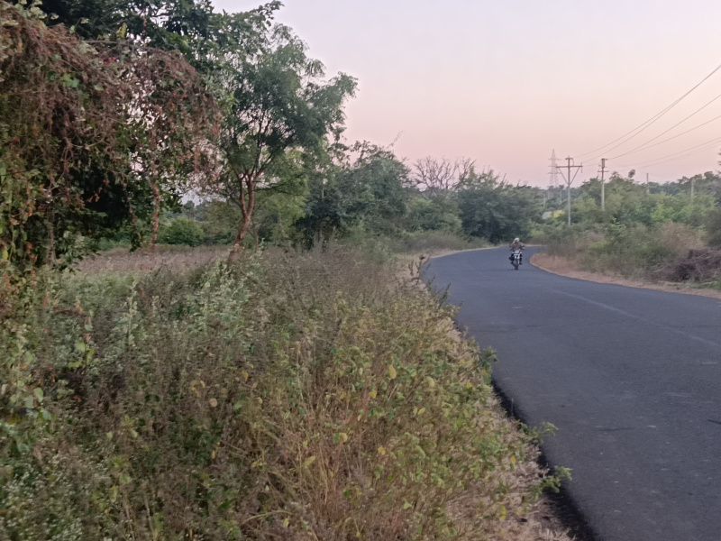  10 Acre Agricultural/Farm Land for Sale in Mohapa, Nagpur