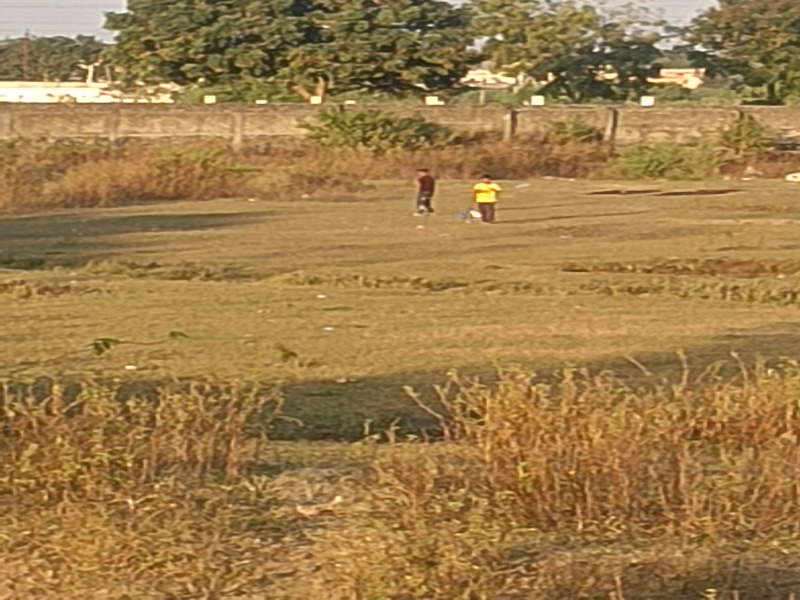  8 Acre Agricultural/Farm Land for Sale in Dahegaon, Nagpur