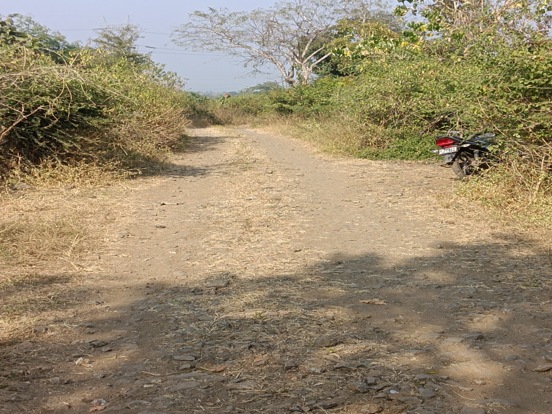  15 Acre Agricultural/Farm Land for Sale in Kalameshwar, Nagpur