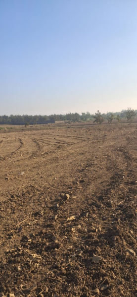  3 Acre Agricultural/Farm Land for Sale in Rui, Nagpur