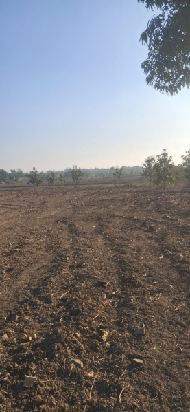  3 Acre Agricultural/Farm Land for Sale in Rui, Nagpur