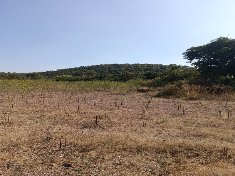  5 Acre Agricultural/Farm Land for Sale in Mohapa, Nagpur