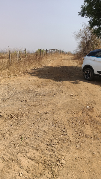  60 Acre Agricultural/Farm Land for Sale in Tekadi, Nagpur