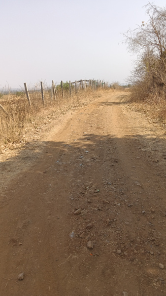  60 Acre Agricultural/Farm Land for Sale in Tekadi, Nagpur