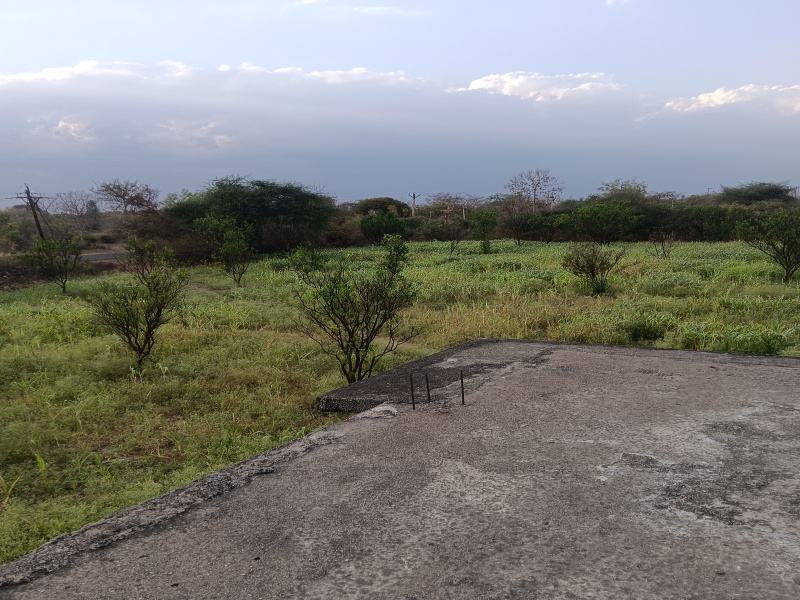  5 Acre Agricultural/Farm Land for Sale in Kalameshwar, Nagpur