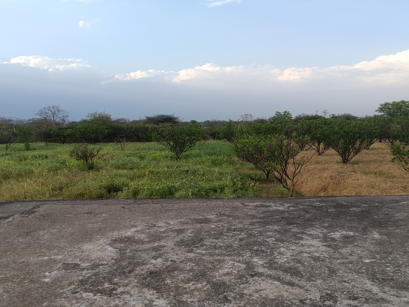  5 Acre Agricultural/Farm Land for Sale in Kalameshwar, Nagpur