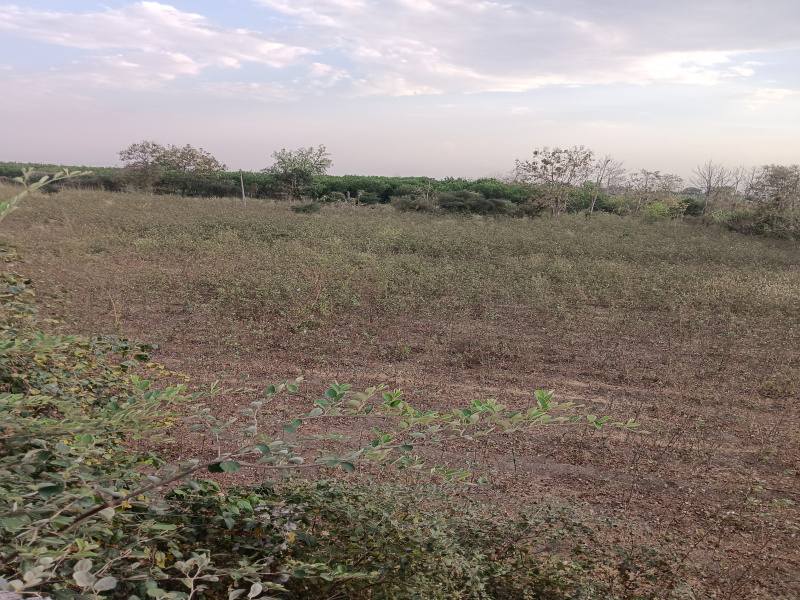  3 Acre Agricultural/Farm Land for Sale in Kalameshwar, Nagpur