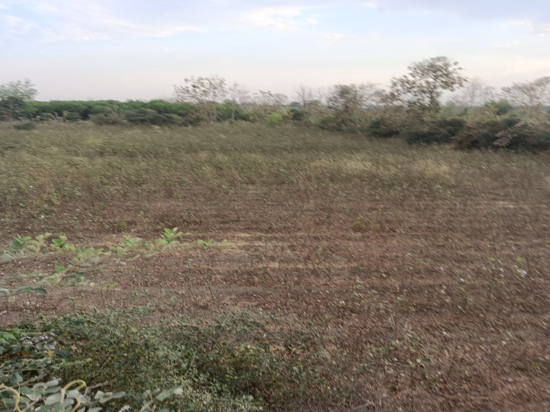  3 Acre Agricultural/Farm Land for Sale in Kalameshwar, Nagpur
