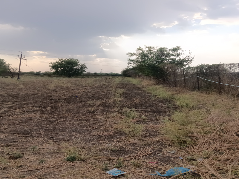  3 Acre Agricultural/Farm Land for Sale in Kalameshwar, Nagpur
