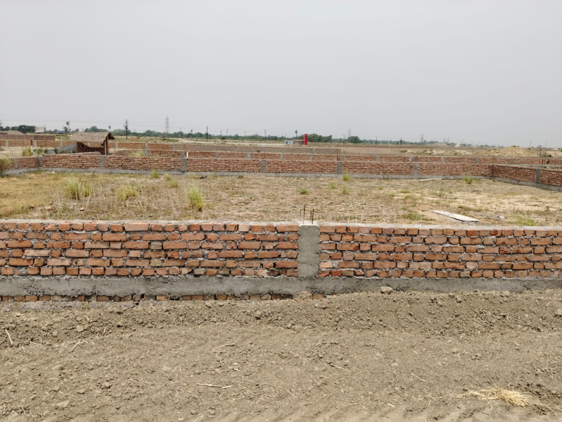  Residential Plot 600 Sq.ft. for Sale in Rajgir, Nalanda