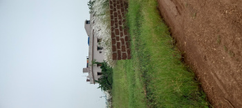  Residential Plot for Sale in Janla, Bhubaneswar