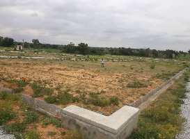  Agricultural Land for Sale in Nelamangala, Bangalore
