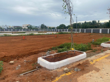  Residential Plot for Sale in Palaganangudy, Tiruchirappalli