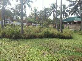  Commercial Land for Sale in Aroor, Kochi