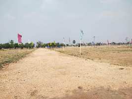  Residential Plot for Sale in Raghunathapally, Warangal