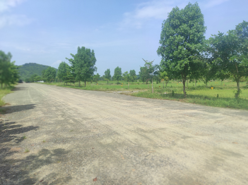  Residential Plot 200 Sq. Yards for Sale in Kothavalasa, Visakhapatnam