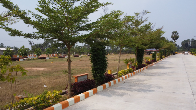  Residential Plot 167 Sq. Yards for Sale in Bhogapuram, Visakhapatnam