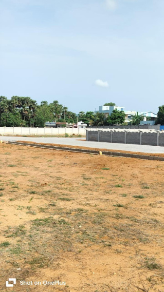  Residential Plot 183 Sq. Yards for Sale in Thotapalem, Vizianagaram