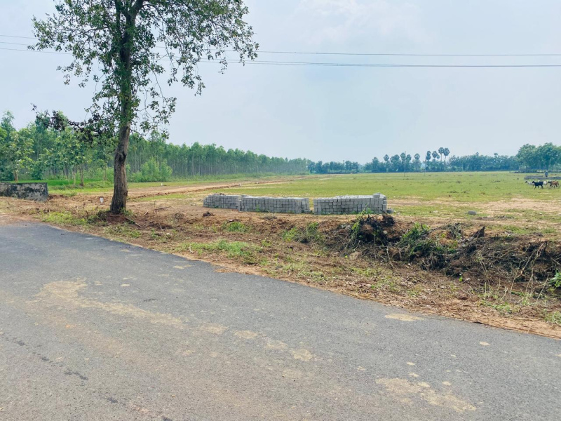  Residential Plot 200 Sq. Yards for Sale in Sontyam, Visakhapatnam