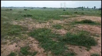  Agricultural Land for Sale in Nanguneri, Tirunelveli