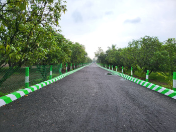  Agricultural Land for Sale in Thamarai Nagar, Tiruvannamalai