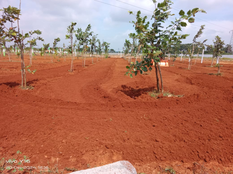  Agricultural Land 9600 Sq.ft. for Sale in Pudupattinam, Chengalpattu