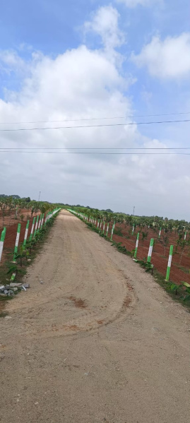  Agricultural Land 9600 Sq.ft. for Sale in Pudupattinam, Chengalpattu