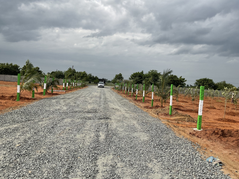  Agricultural Land 9600 Sq.ft. for Sale in Cheyyar, Kanchipuram