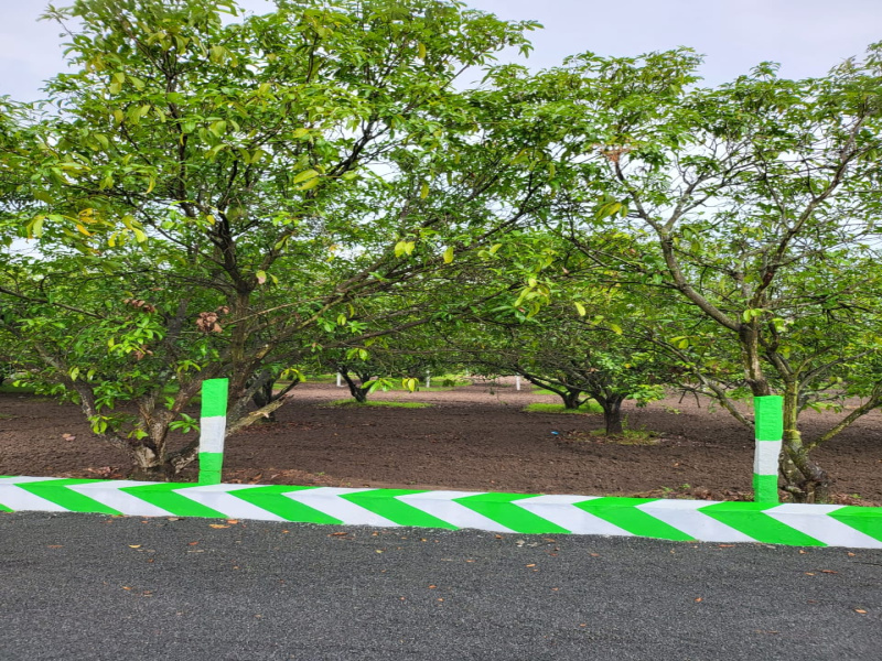  Agricultural Land 9600 Sq.ft. for Sale in Olakkur, Villupuram