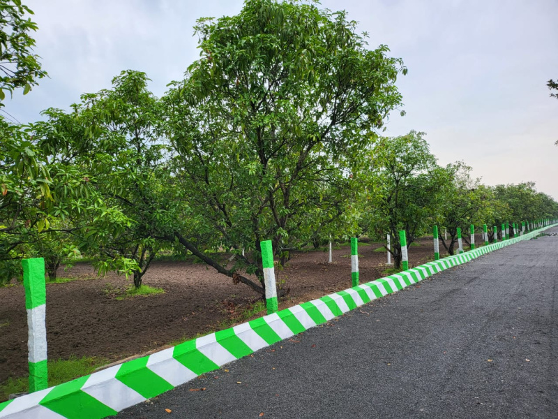  9600 Sq.ft. Agricultural/Farm Land for Sale in Acharapakkam, Chengalpattu