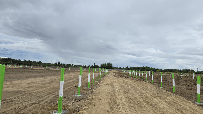  9600 Sq.ft. Agricultural/Farm Land for Sale in Uthiramerur, Kanchipuram