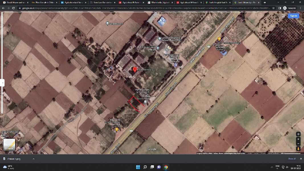  Agricultural Land 600 Sq. Yards for Sale in Chikani, Alwar