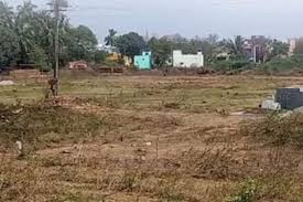  Residential Plot 6970 Sq.ft. for Sale in Bhawanipatna, Kalahandi