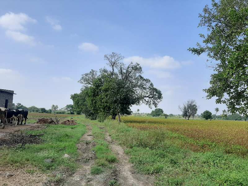 Farm Land for Sale in Ujjain Road, Indore (REI1081327)
