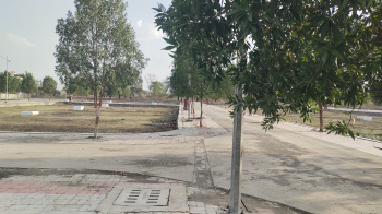  Commercial Land for Sale in Fetri, Nagpur