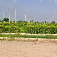  Residential Plot for Sale in Sector 23, Ambala