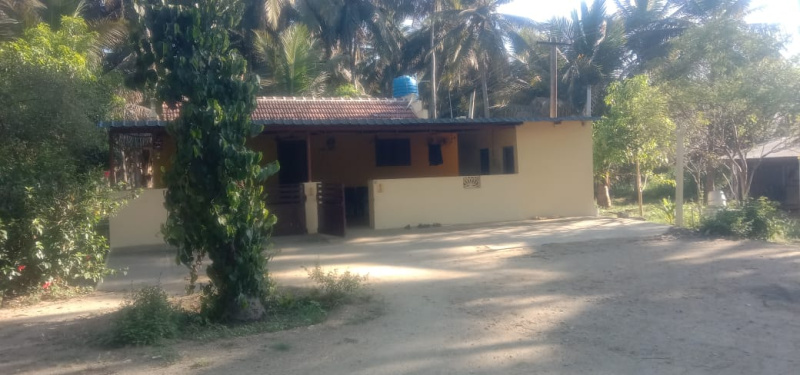  Agricultural Land 3 Acre for Sale in Kinathukadavu, Coimbatore