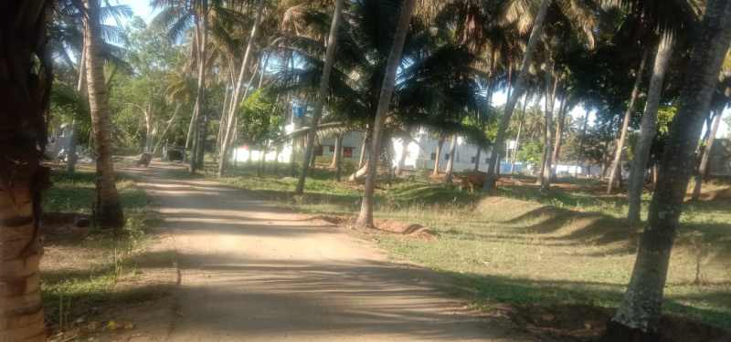  Agricultural Land 3 Acre for Sale in Kinathukadavu, Coimbatore