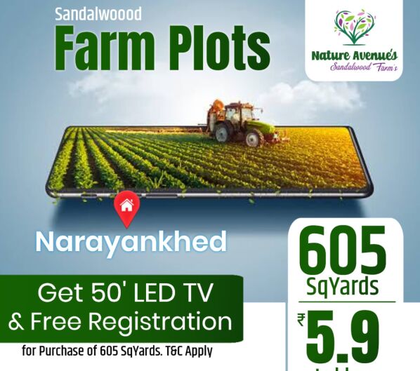  Agricultural Land 605 Sq. Yards for Sale in Narayankhed, Sangareddy
