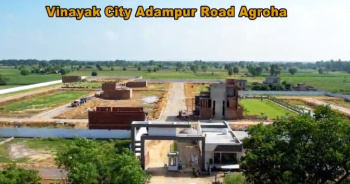  Residential Plot for Sale in Agroha, Hisar
