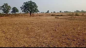  Agricultural Land for Sale in Nagpur Road, Jabalpur