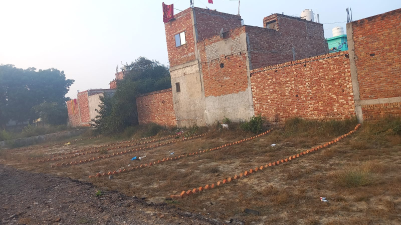  Residential Plot 100 Sq.ft. for Sale in Bahadurgarh, Jhajjar