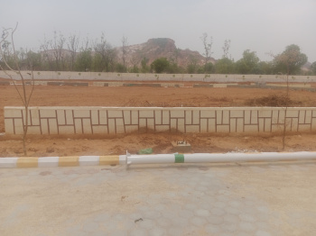  Residential Plot for Sale in Kanota, Jaipur