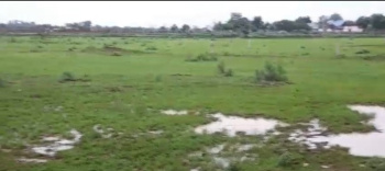  Agricultural Land for Sale in Bhilai, Durg