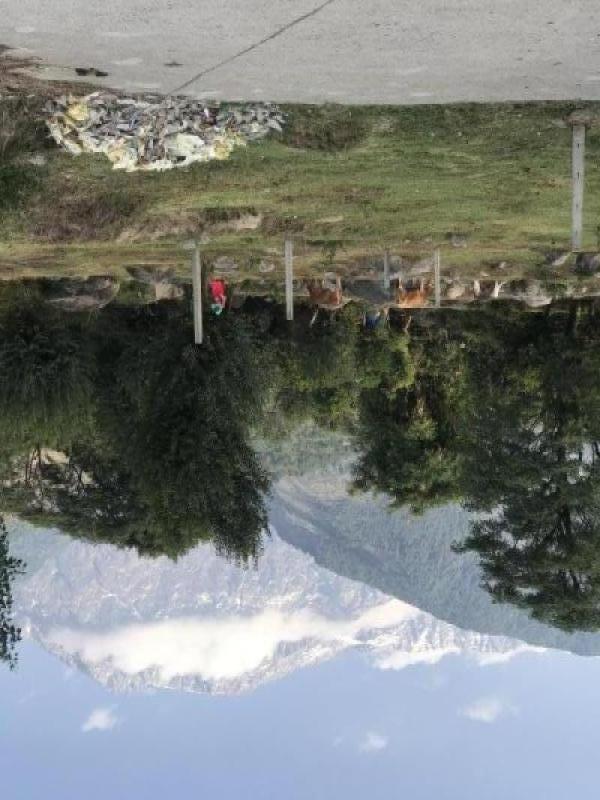  Residential Plot 1 Marla for Sale in Sidhbari, Dharamsala