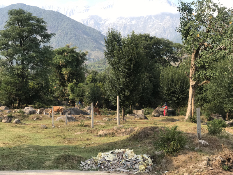  Residential Plot 1 Marla for Sale in Sidhbari, Dharamsala