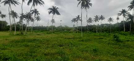  Commercial Land for Sale in Attingal, Thiruvananthapuram
