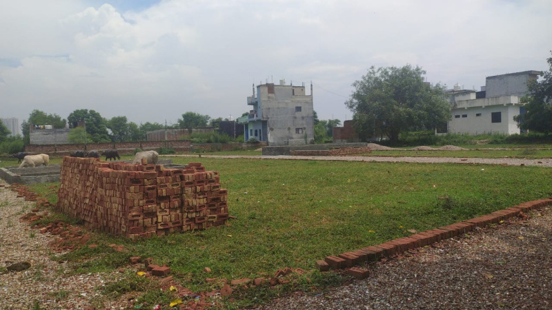  100 Sq. Yards Residential Plot for Sale in Sector 80 Noida