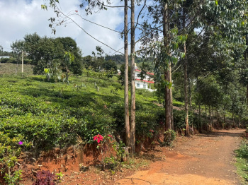  Residential Plot for Sale in Coonoor, Nilgiris